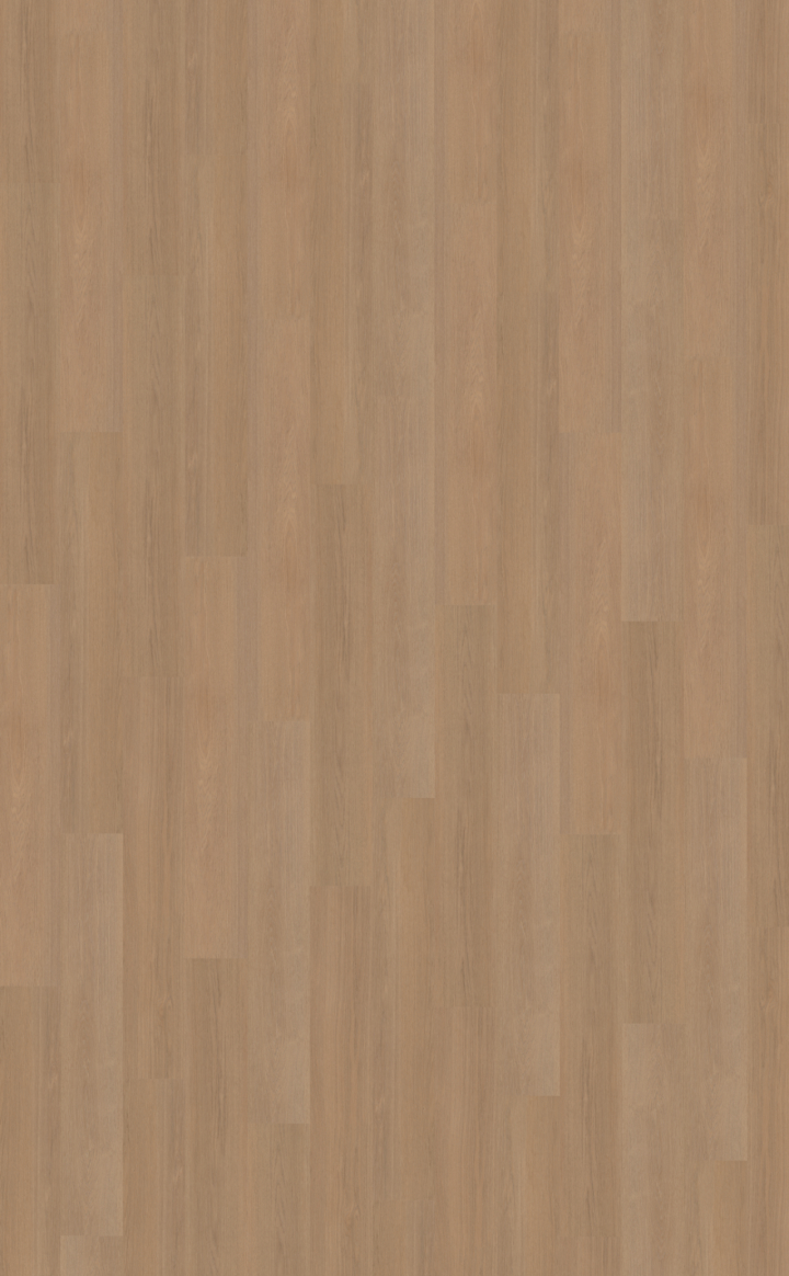 Futuro 500 | Rigid Click